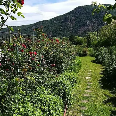 Semesterbostad Villavolgy Vendeghaz
